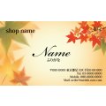 672 名刺 和風 イエロー・オレンジ系  (1箱100枚入）