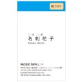 ビジネス　カラー名刺　縦E007　（1箱100枚入）