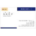 ビジネス　カラー名刺　横C001　（1箱100枚入）