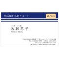 ビジネス　カラー名刺　横C026　（1箱100枚入）
