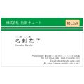 ビジネス　カラー名刺　横C029　（1箱100枚入）